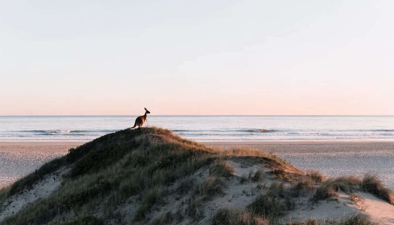 Australian sunrise beach with a red kangaroo silhouette